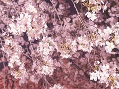 -龙美术馆(西岸馆)