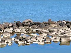 -上海吴淞炮台湾国家湿地公园