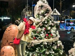 -南京THE TAI太和紫金大酒店