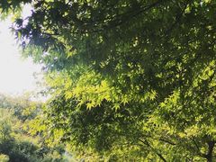 -南通博物苑-崇川人民公园