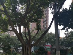 -四里沙茶面(七星西路分店)