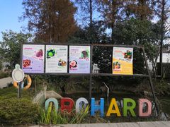 -上海长兴岛郊野公园