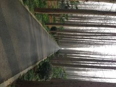 -上海怡沁园度假酒店