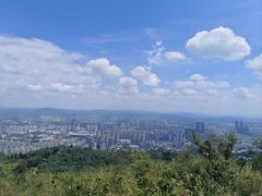 -长虫山生态公园风景林