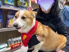 -宠物家(角门东店)