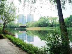 -洋湖国家湿地公园