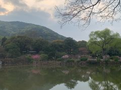 -惠山古镇·寄畅园