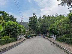 -滴水岩森林公园