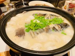 泉水鱼头煲-小厨娘淮扬菜(天印大道店)