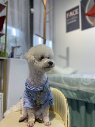 -朵颜化妆造型工作室(陆家嘴店)