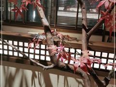 -揽季锅物会.福建黄鱼.海鲜姿造(五四路店)