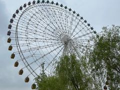 -凤凰欢乐大世界