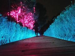 -洪湖家庭农场·团建·露营·会议