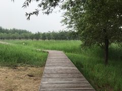 -东郊湿地公园