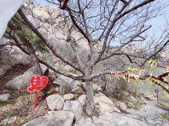 -石岛赤山风景区