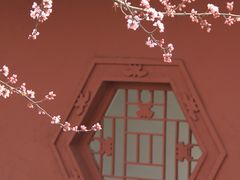 -桃花堤公园