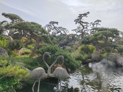 -罗红摄影艺术馆