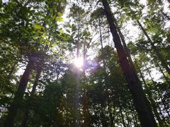 -长春净月潭风景名胜区