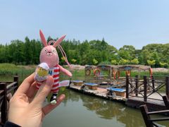 -上海长兴岛郊野公园