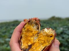 -七的湖·晚芳亭·阳澄湖农家菜·大闸蟹(莲花岛店)