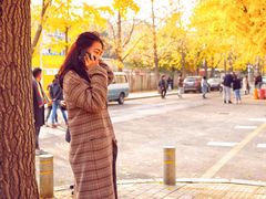 -三里屯东五街银杏大道