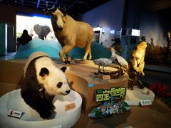 -陕西自然博物馆