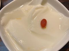 -陈麻婆豆腐(旗舰店)