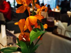 -狮王府淮扬菜(夫子庙老门东店)