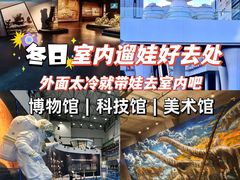 -重庆中国三峡博物馆(重庆博物馆)