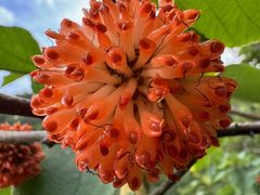 -北京西山国家森林公园