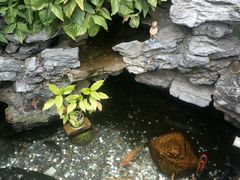 -黄埔古港