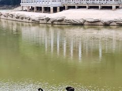 -广州市帽峰山景区