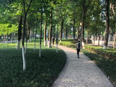 -重庆市江北嘴中央商务区中央公园