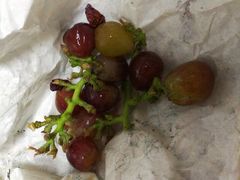 -马陆小张葡萄园农家乐