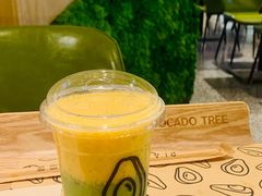 -油梨树AVOCADO TREE(嘉里中心店)