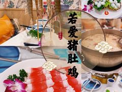 -若爱猪肚鸡·啫啫煲(循礼门M+店)