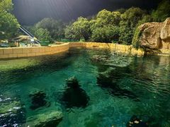 -上海玛雅海滩水公园