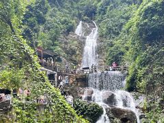 -鼎湖山风景区