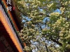 -塔尔寺
