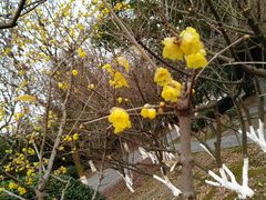 -白塘生态植物园