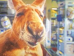 -保利国际影城(北京缤纷城店)