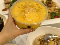 -杨枝金捞甜品(氹仔泉澧店)