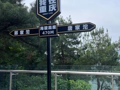 -铁山坪森林公园