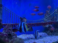 -太平洋海底世界