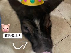 -汪说·狗咖(旺城大厦店)