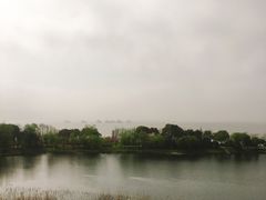 -上海市保健医疗中心(华东疗养院)