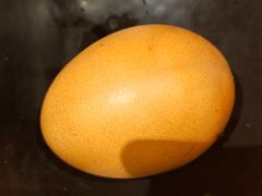 -鼎原力量东北吊炉烧烤(临河街店)