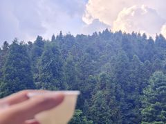 -武陵山森林公园