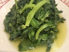-圆苑(金茂店)
