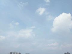 -眉山湿地公园(东坡区)